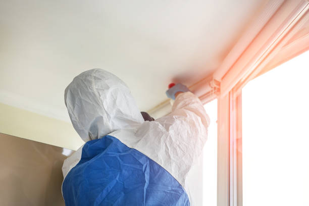 Best Mold Remediation for Healthcare Facilities in Pike Creek, DE